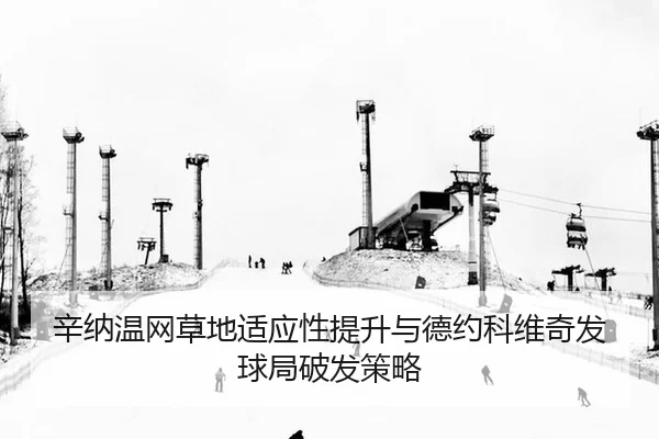 xin-na-wen-wang-cao-di-shi-ying-xing-ti-sheng-yu-de-yue-ke-wei-qi-fa-qiu-ju-po-fa-ce-lve-2-681.jpg