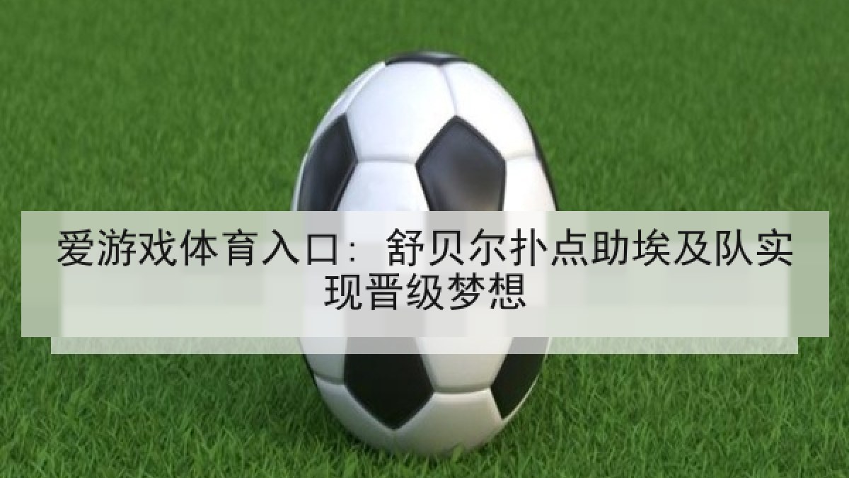 爱游戏体育入口: 舒贝尔扑点助埃及队实现晋级梦想