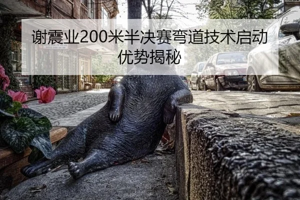 xie-zhen-ye-mi-ban-jue-sai-wan-dao-ji-shu-qi-dong-you-shi-jie-mi-2-256.jpg