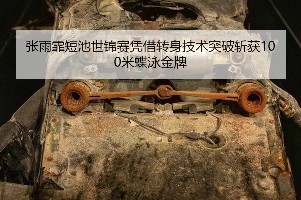 zhang-yu-fei-duan-chi-shi-jin-sai-ping-jie-zhuan-shen-ji-shu-tu-po-zhan-huo-mi-die-yong-jin-pai-2-303.jpg